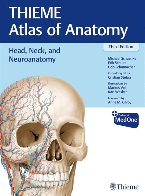 Head Neck And Neuroanatomy Thieme Atlas Of Anatomy 9781626237223