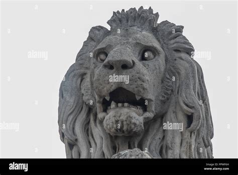 Lion Stone Statues Guard Chain Bridge Szechenyi Lanchid In Budapest