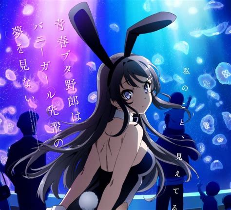 Anime Review Rascal Does Not Dream Of Bunny Girl Senpai
