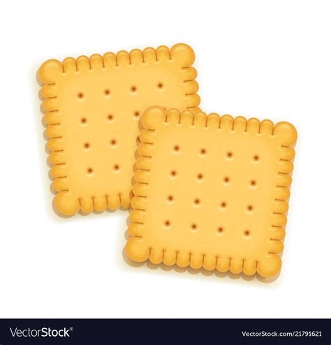 Ce spot publicitaire 3d pour danette biscuit est une petite merveille : Two delicious biscuit Royalty Free Vector Image | Bakery ...