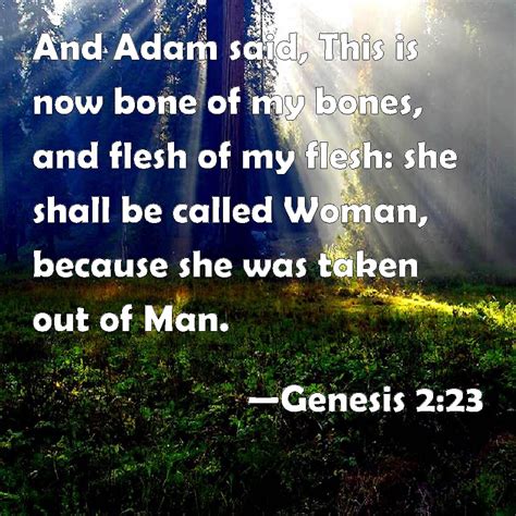 Genesis 223 And Adam Said This Is Now Bone Of My Bones And Flesh Of My Flesh She Shall Be