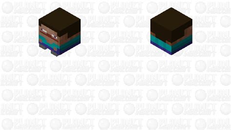 Derp Mini Steve Minecraft Skin