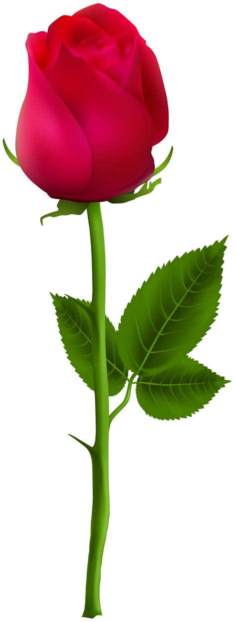Rose Bud Clipart Free Download On Clipartmag