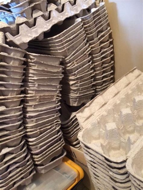 FREE: EGG CARTONS West Shore: Langford,Colwood,Metchosin,Highlands ...