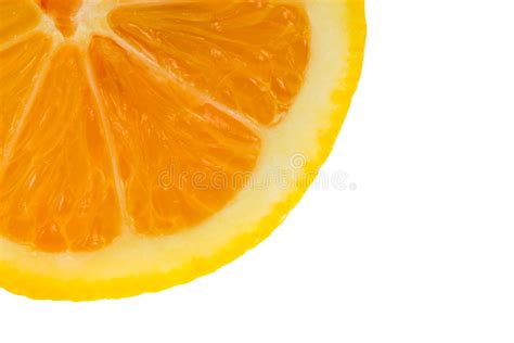 Fresh Orange Juice Stock Photo Image Of Circles Macro 3582124