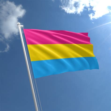 Prideoutlet Flags Pansexual 3 X 5 Polyester Flag Wmetal