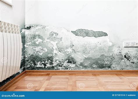 Schaden Verursacht Durch Feuchtigkeit Auf Einer Wand Im Modernen Haus Stockfoto - Bild von haus