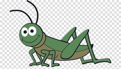 Cartoon Grasshopper Picture Cartoon On Net