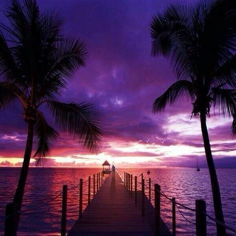 Purple Sunset Hawaii Hawaiian Sunset Sunrise Sunset Dream Vacations