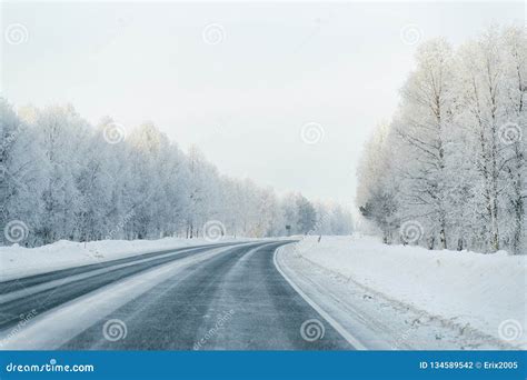 Winter Road And A Snowy Forest At Cold Finland Stock Photo Image Of
