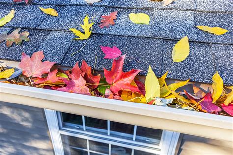 11 Essential Fall Home Maintenance Tips Lombardo Homes
