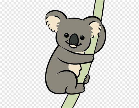 Koala Bear Animation Marsupial Koala Mammal Animals Carnivoran Png