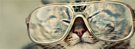 Facebook Cover Photo Funny Cats Facebook Covers