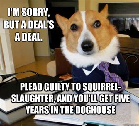 The Hilarious Lawyer Dog Meme 20 Pics