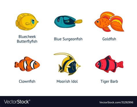 Set Tropical Fishes With Their Names Royalty Free Vector