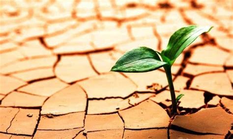 Una vida feliz y plena no depende de la ausencia de experiencias adversas, sino de cómo respondemos ante este tipo de. Haz parte de tu vida la resiliencia