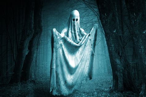 Ghost In The Forest Free Stock Photo Public Domain Pictures