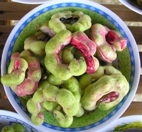 Food Secrets 15 Rare Indian Fruits That Will Amaze You With Their