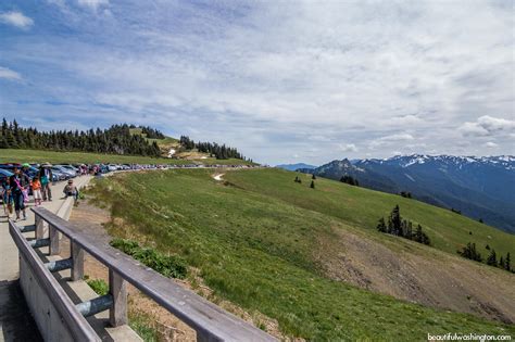 Hurricane Ridge Visitor Center