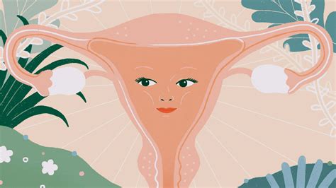 Know Your Uterus The New York Times
