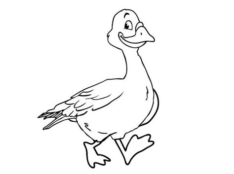 See more ideas about coloring pages, animal coloring pages, color. Goose Walking Coloring Page - NetArt