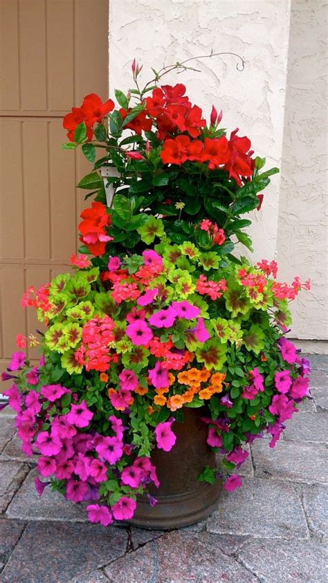 A Gallery Of Beautiful Container Garden Ideas