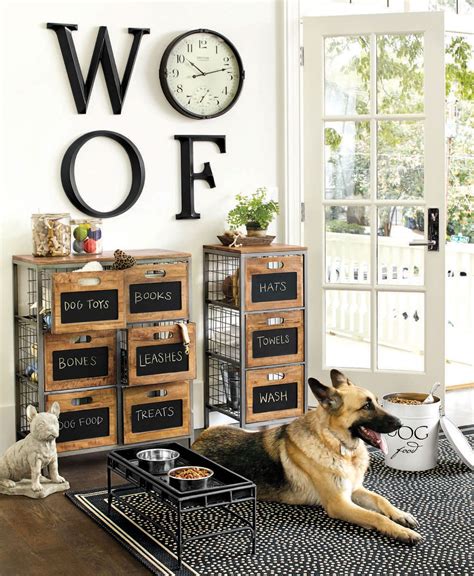 20 Dog Room Decor Ideas