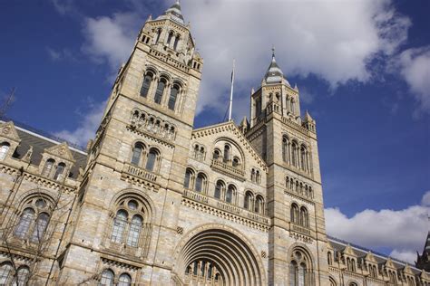 Ten Interesting Facts and Figures about London's Natural History Museum ...