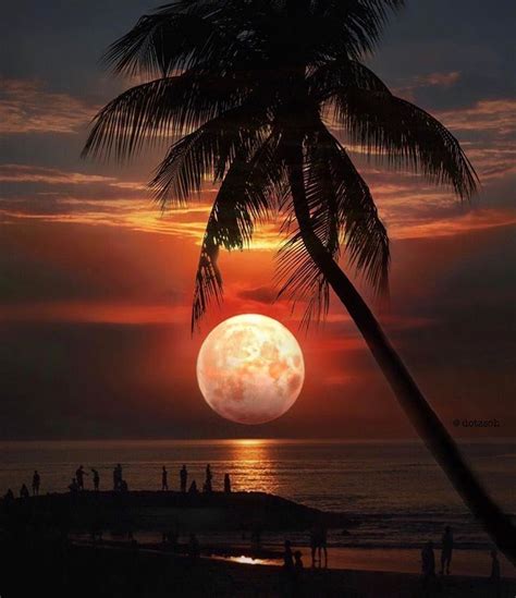 Beautiful Sunsets Beautiful Moon Beautiful Sunset Moon Photography