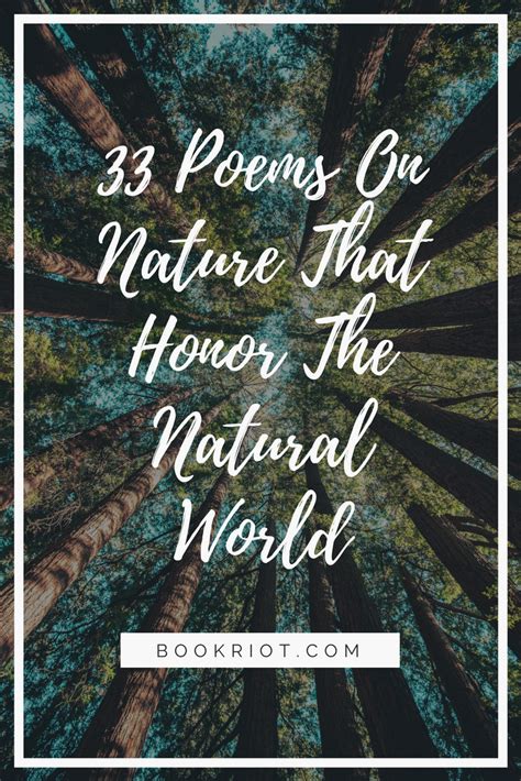 33 Poems About Nature That Honor The Natural World Poetry Nature