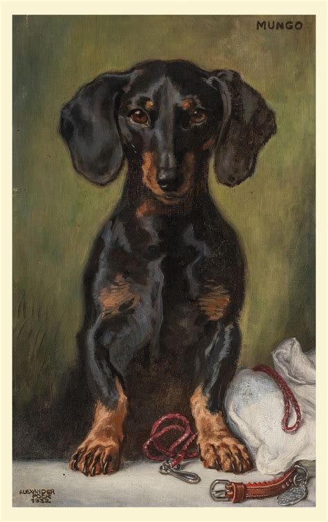 Dachshund Dog Vintage Painting Free Stock Photo Public Domain Pictures
