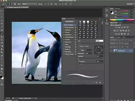 Most users say that this version is the successful version before the creative cloud released. adobe photoshop cs6 free download full version for windows ...