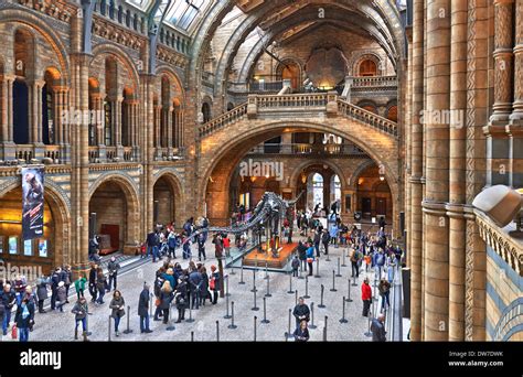 The Natural History Museum Is One Of Three Large Museums On Exhibition Road South Kensington