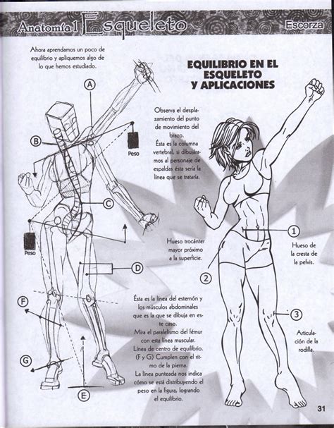 25 Dibujarte Curso Anatomia By Edwin Arrieta Issuu
