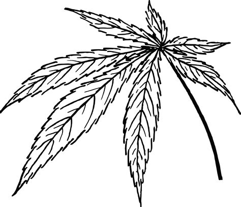 Free Clipart Of A Cannabis Leaf