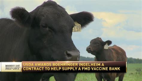 boehringer ingelheim on linkedin in the news rfd tv interview explores the fmd vaccine bank