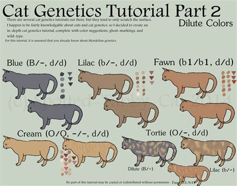 Cat Genetics Tutorial Part 2 Dilute Colors By Spotted BEDECOR Free Coloring Picture wallpaper give a chance to color on the wall without getting in trouble! Fill the walls of your home or office with stress-relieving [bedroomdecorz.blogspot.com]