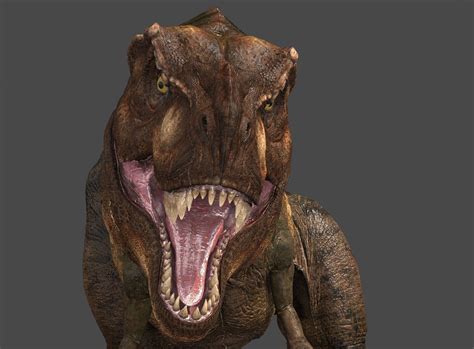 Refer to the coronavirus safety information page of our website for more information. Tyrannosaurus Rex 3D Model animated rigged MAX - CGTrader.com