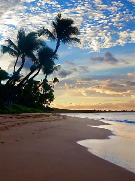 Sur la plage de l'espiguette, on l'attend et quand il arrive on est rarement déçu. Coucher de soleil | Paysages magnifiques, Photos paysage ...