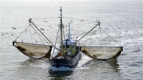 Trawling The Controversial Fishing Method American Oceans