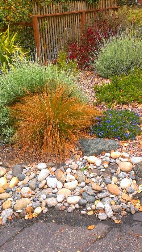 Ornamental Grasses With Rock Border Landscaping With Rocks Backyard