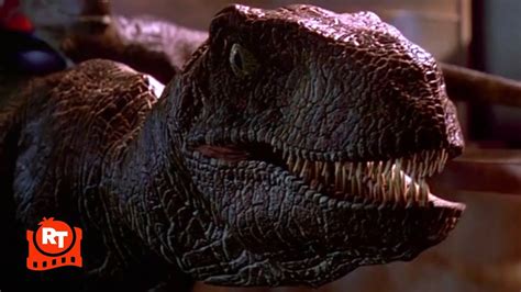 Jurassic Park Raptors In The Kitchen Scene Movieclips Youtube