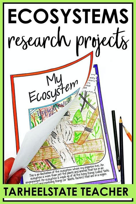 Ecosystems Project Based Learning Biomes Animal Research Projects