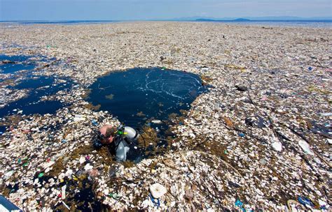 Horrifying Images Show Devastating Impact Of Plastic Pollution As Idyllic Caribbean Waters Choke