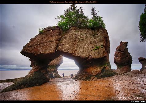 Walking On Ocean Floor At Low Tide Hopewell Rocks Nb Hopewell