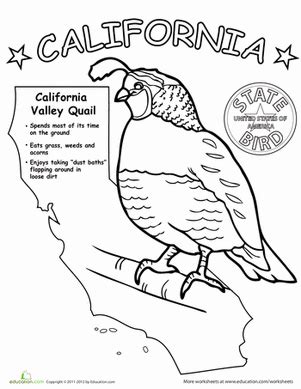 Please note, year round homeschooling uses affiliate links. California State Bird | Worksheet | Education.com