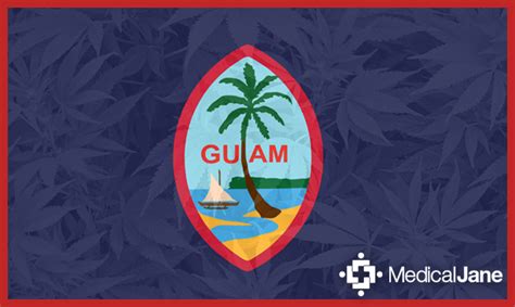 Guam Becomes First U S Territory To Legalize Medical Cannabis