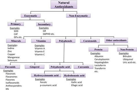 antioxidants from natural sources intechopen