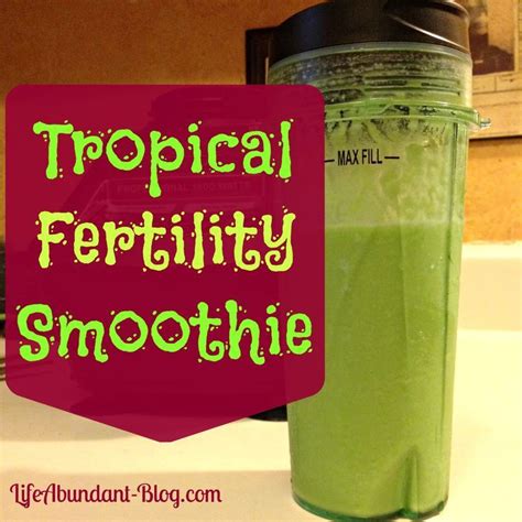 Because each pregnancy is different, your doctor is the best resource for making a treatment plan and determining which essential oils are best to use during pregnancy for each individual. This is one fertility smoothie recipe idea to sneak in pineapple core during the two-week-wait ...