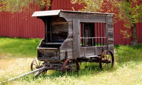 In most such species, the tumbleweed is in effect the entire plant apart from the root system, but in other plants, a hollow fruit or inflorescence might detach instead. Tumbleweed Wagons - The Jail On Wheels That Was Used To ...